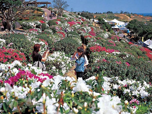 沖縄花のカーニバル