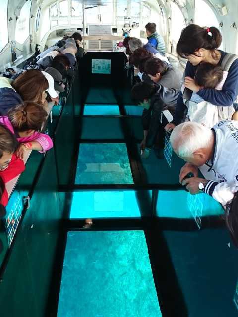 南西観光 グラスボート竹富島海底遊覧の画像 2枚目
