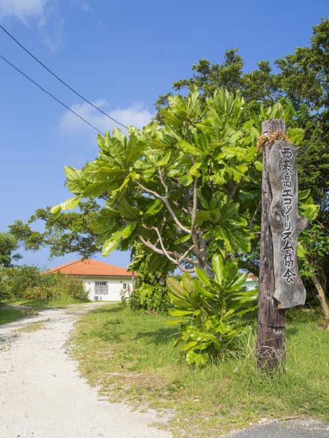 西表島エコツーリズムセンターの画像 4枚目