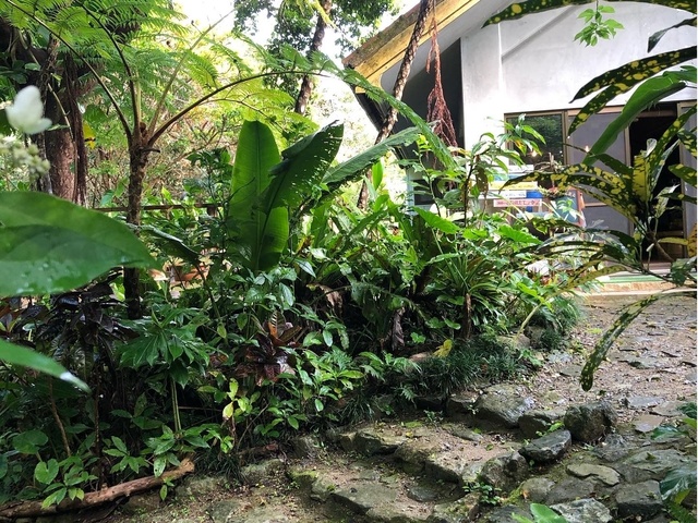 Cafe icharaの画像 3枚目