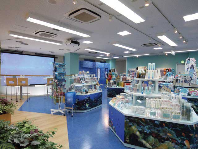 沖縄美ら海水族館アンテナショップ うみちゅらら