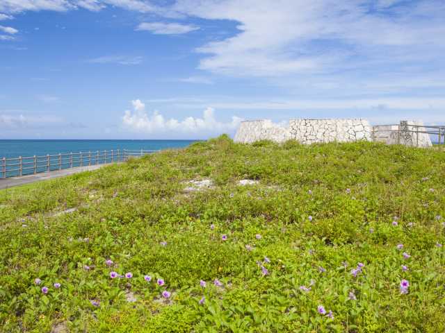 兄ィニィの丘の画像 3枚目