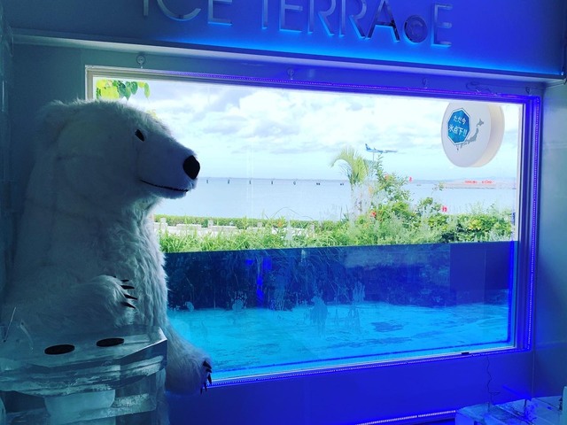 ICE TERRACE