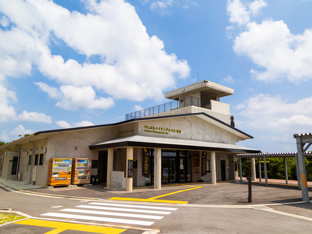道の駅 やんばるパイナップルの丘安波の画像 1枚目