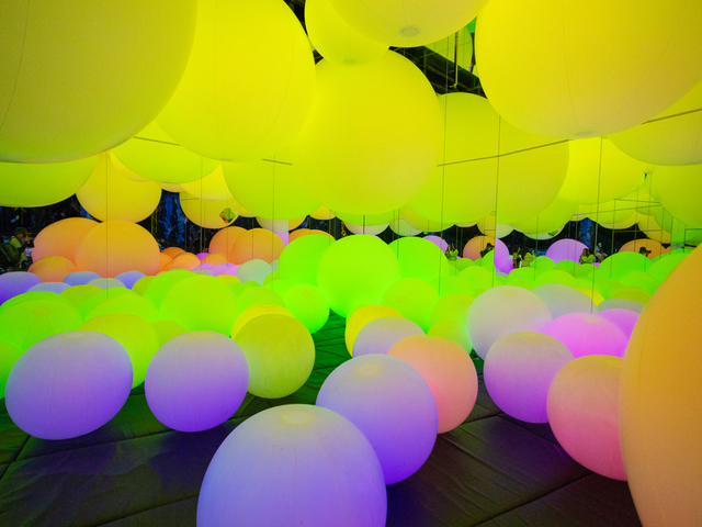 チームラボ 学ぶ!未来の遊園地 沖縄の画像 1枚目