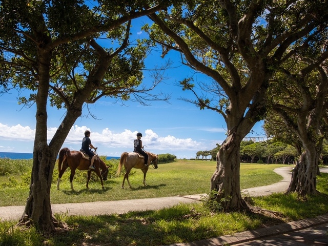おきなわ乗馬倶楽部の画像 1枚目