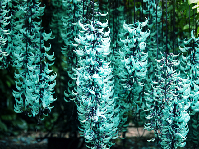 石垣島サイエンスガーデンの画像 2枚目