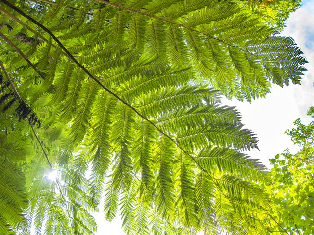 長尾橋の画像 1枚目