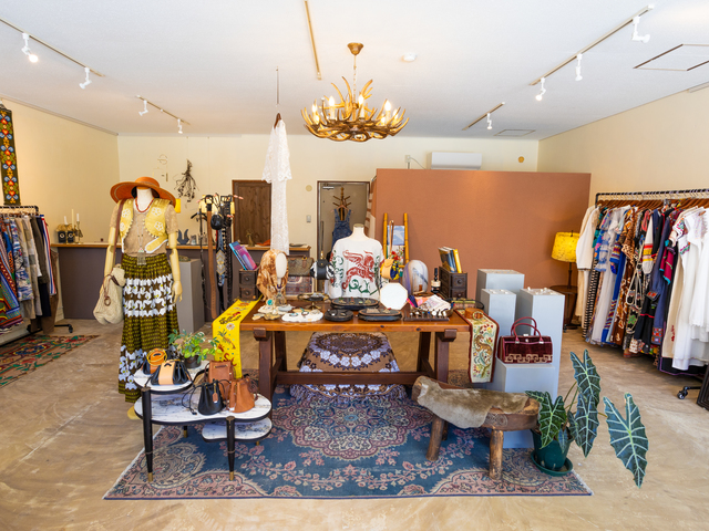 alocasia vintageの画像 2枚目