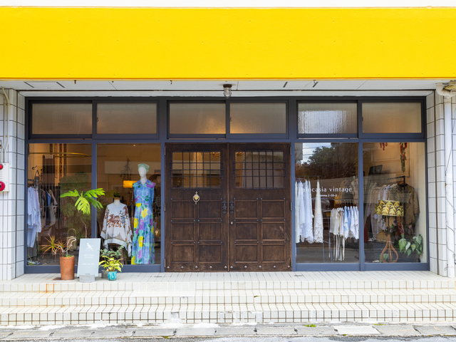 alocasia vintageの画像 1枚目