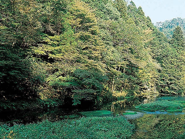 醒井峡谷の画像 1枚目