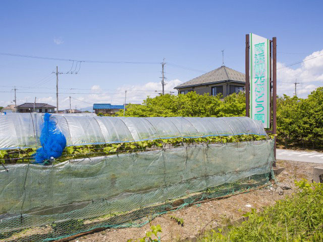 南浜ぶどう生産組合の画像 1枚目