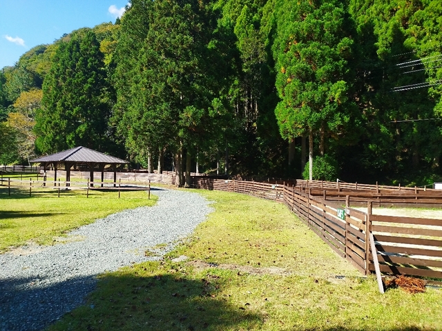 かもしか葛川森のキャンプ場の画像 2枚目