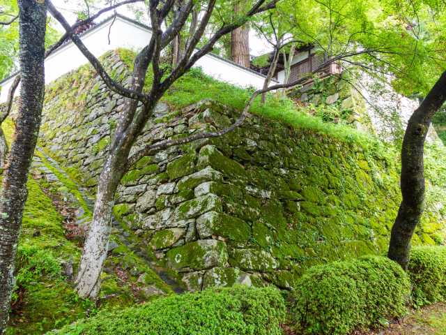 西教寺