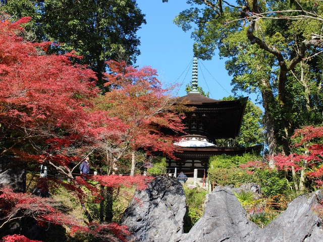 石山寺の画像 2枚目