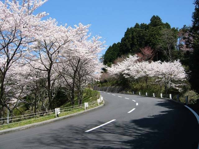 比叡山ドライブウェイ