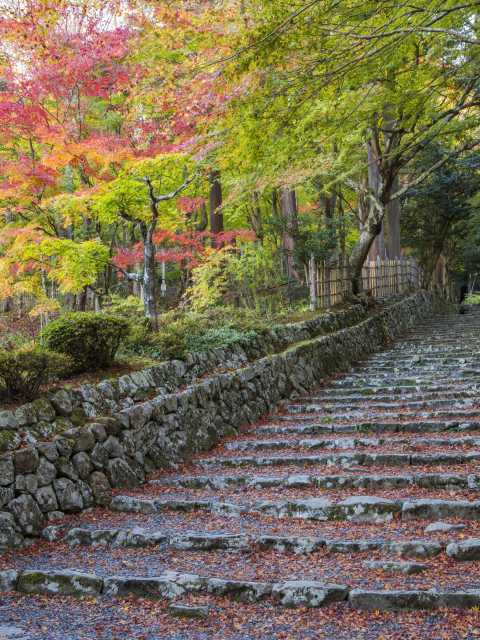 国史跡 百済寺の画像 4枚目