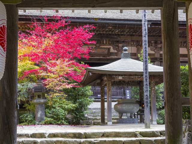 金剛輪寺の画像 4枚目