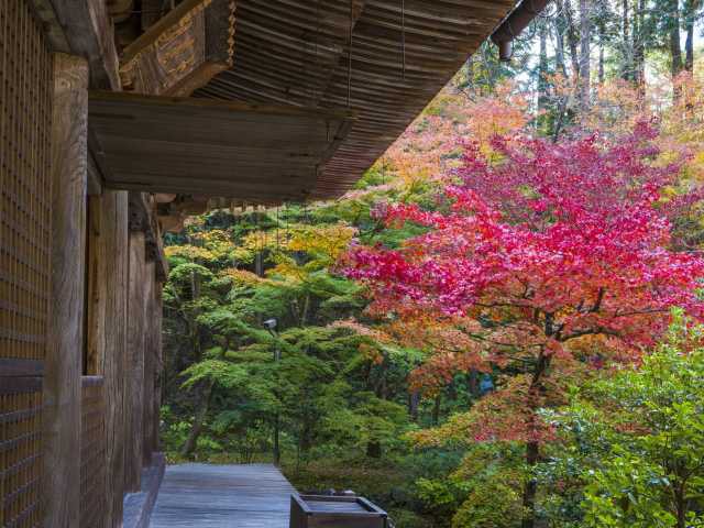 金剛輪寺の画像 2枚目