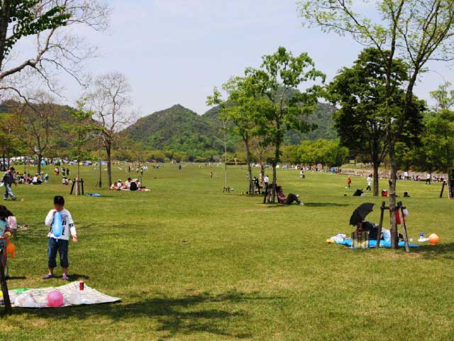 滋賀県希望が丘文化公園の画像 3枚目
