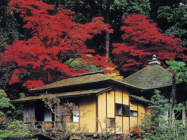 湖東三山のモミジの画像 4枚目