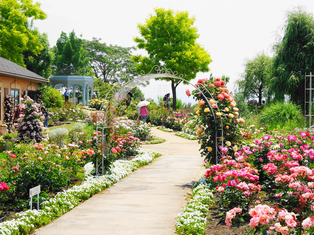 柳が崎湖畔公園 びわ湖大津館の画像 3枚目