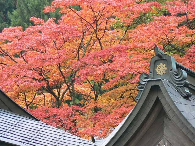 比叡山延暦寺の紅葉