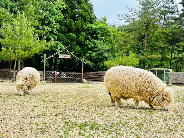 KAMOSHIKA EX(キャンプ場)の画像 3枚目