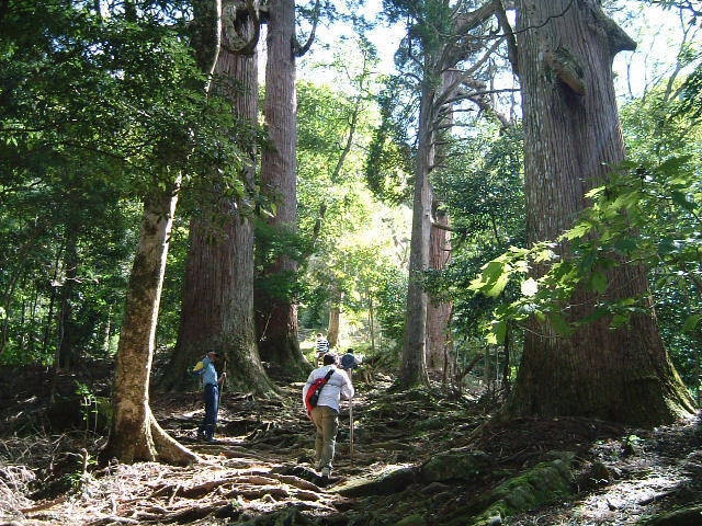 outsideBASE mizukamiの画像 2枚目
