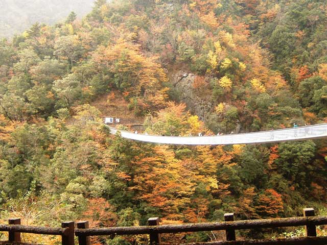 梅の木轟公園吊橋