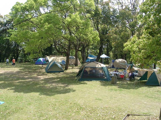 竜洞山みどりの村(キャンプ場)の画像 1枚目