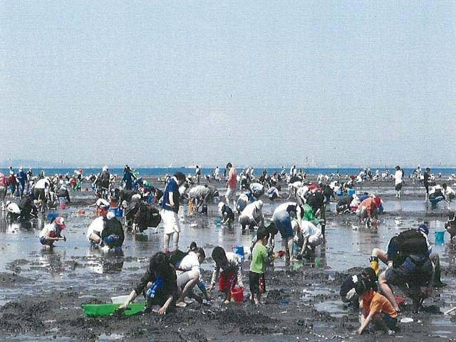 北新地海岸 潮干狩り