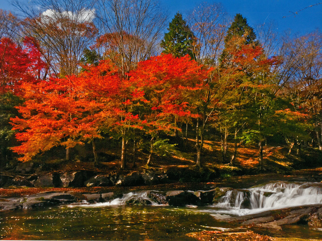 遊水峡の画像 2枚目