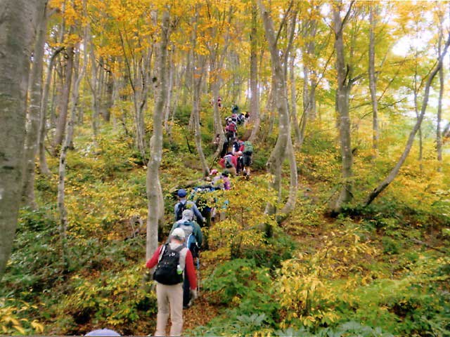石川県県民の森の画像 4枚目