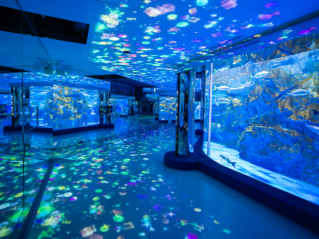 のとじま水族館の画像 2枚目