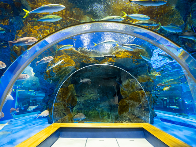 のとじま水族館の画像 3枚目