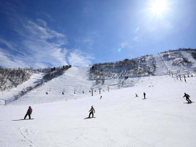 白山千丈温泉セイモアスキー場