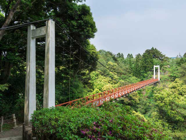 遠島山公園