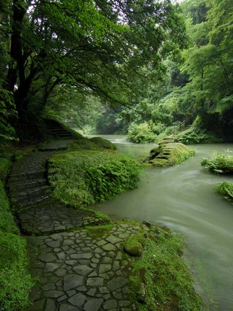 鶴仙渓遊歩道