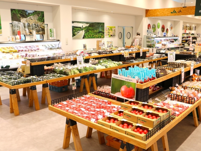 道の駅 めぐみ白山の画像 2枚目