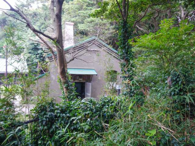 猿島の画像 3枚目