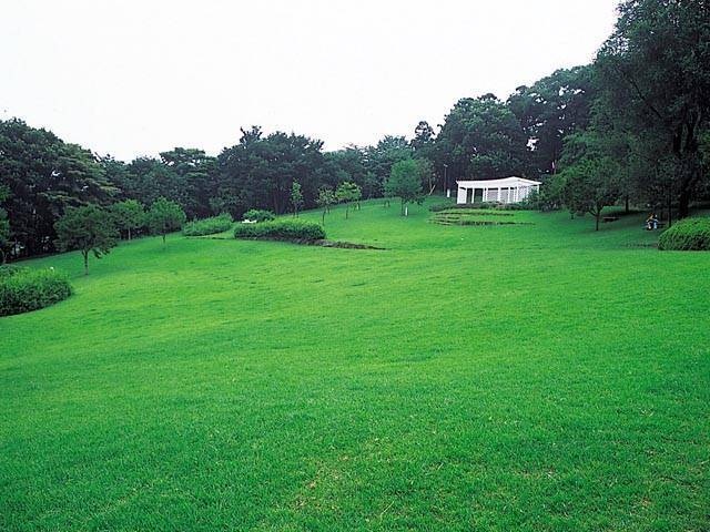 県立七沢森林公園