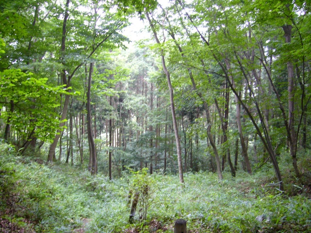 蓑毛自然観察の森