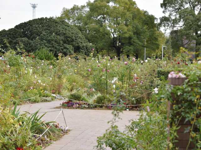 山下公園