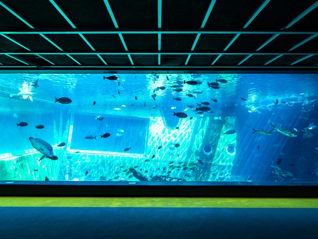 箱根園水族館の画像 4枚目