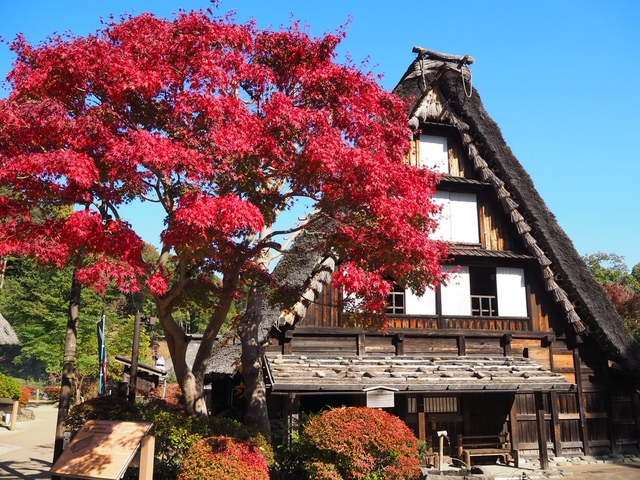 川崎市立日本民家園の画像 1枚目