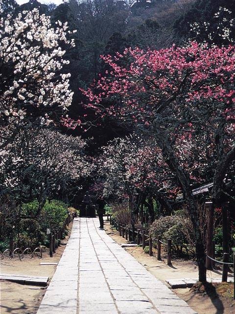 東慶寺