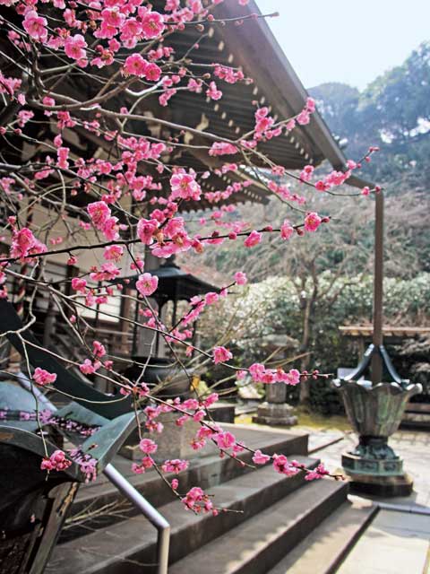 安国論寺