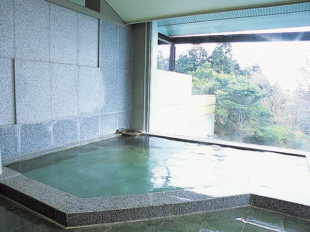 箱根湯の花プリンスホテル(日帰り入浴)の画像 3枚目