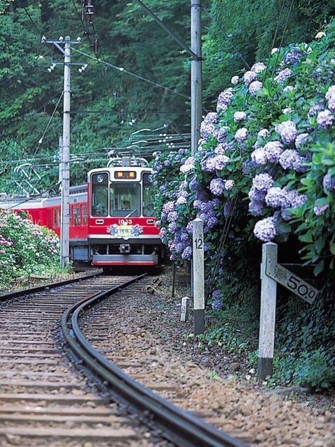 箱根登山電車の画像 4枚目